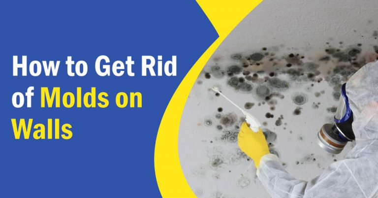 How to Get Rid of Molds on Walls